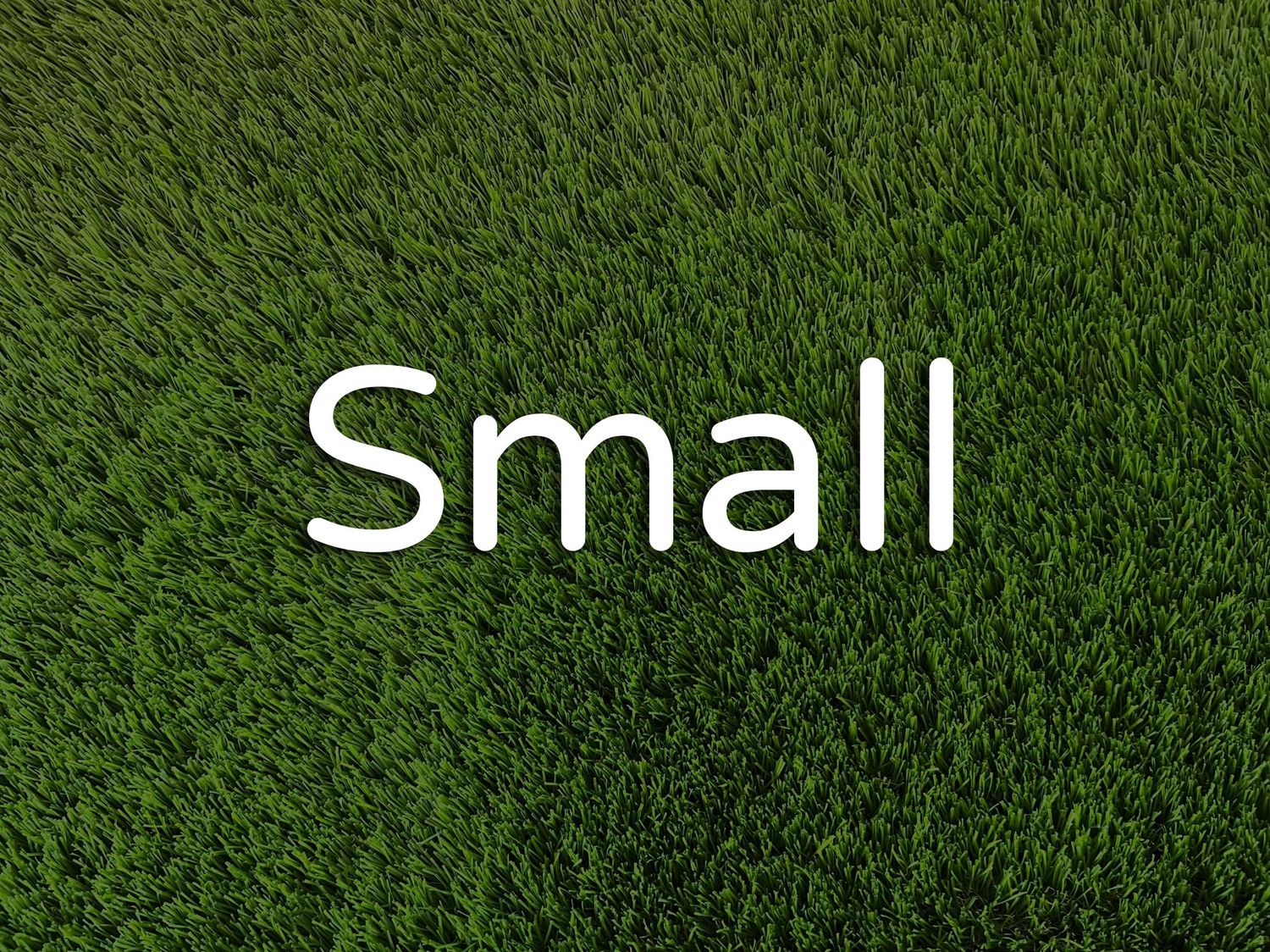 Small
