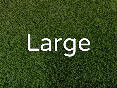 Large