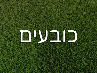כובעים