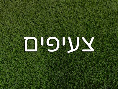 צעיפים