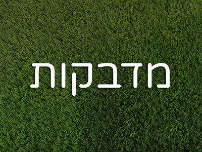 מדבקות
