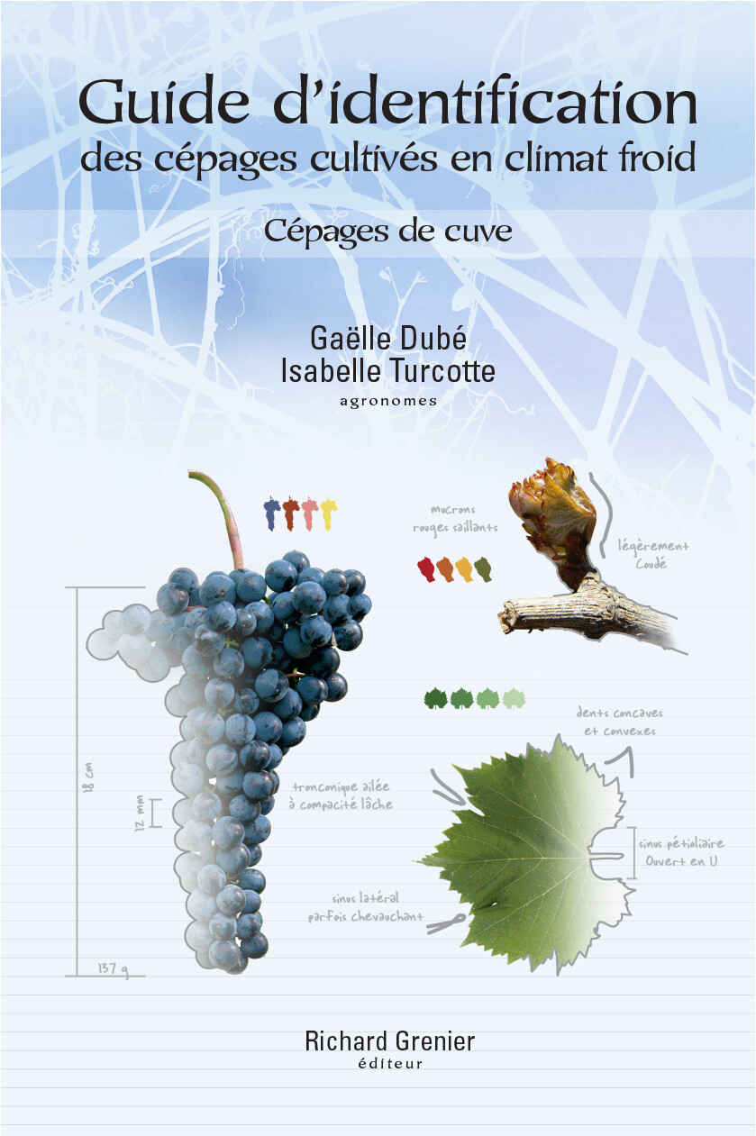 Guide d'identification des cépages cultivés en climat froid (version française) Guide d'identification des cépages cultivés en climat froid (version française)