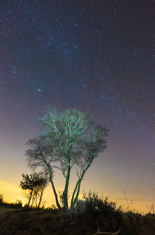 Workshop Nachtfotografie Veluwe zaterdag 26 juli