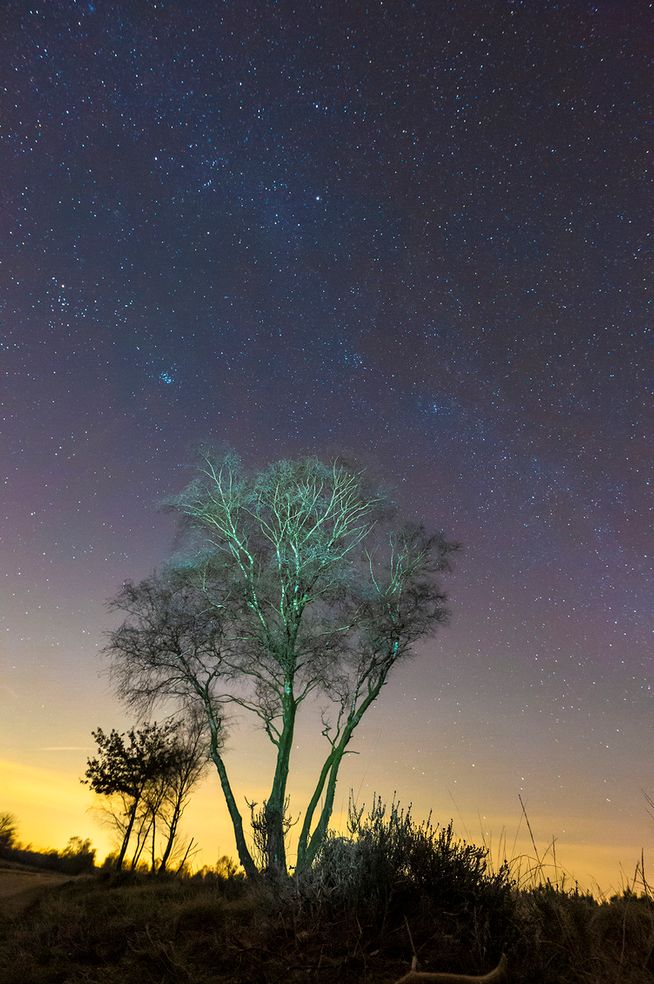 Workshop Nachtfotografie Veluwe zaterdag 21 juni