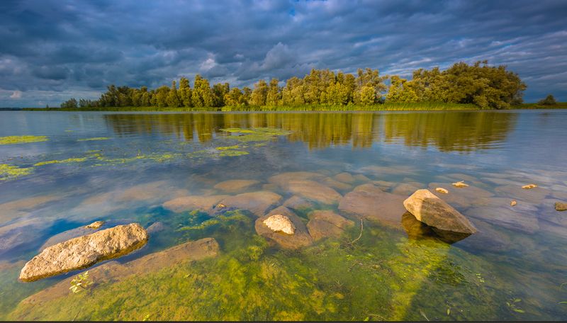 Workshop Landschapsfotografie Biesbosch vrijdag 27 juni