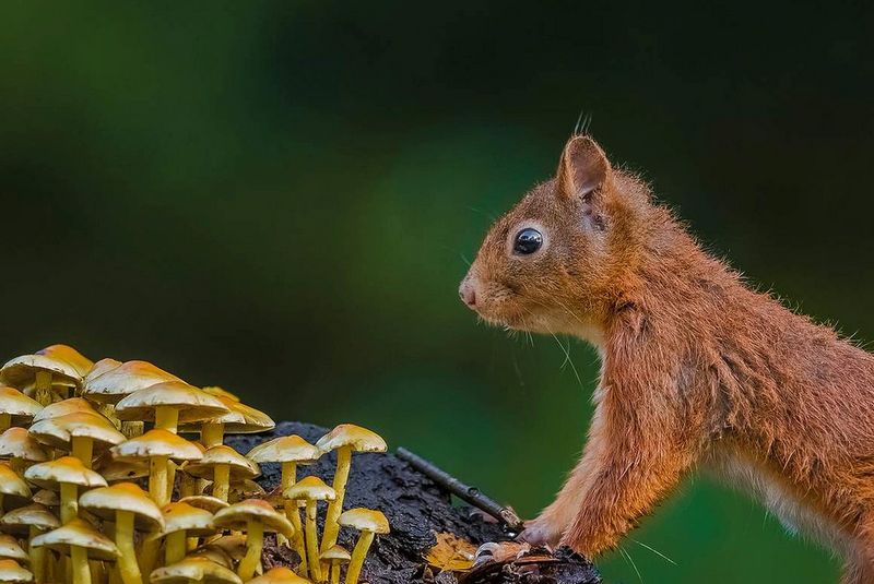 Workshop Cadeaubon Fotografie