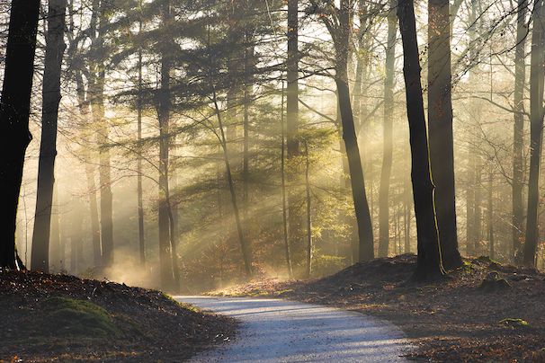 Workshop Basiscursus Fotografie vrijdag 10 juli