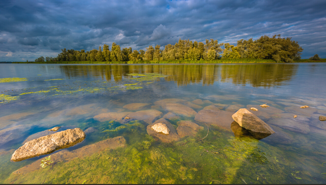 Workshop Landschapsfotografie Biesbosch vrijdag 15 mei
