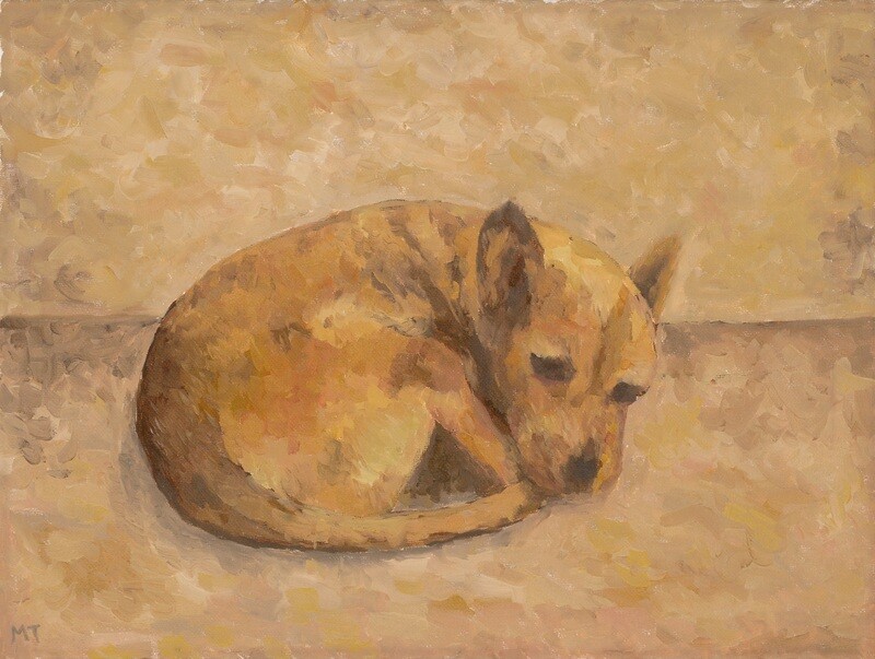 The puppy
