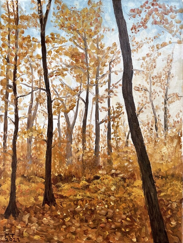 Fall in Normafa