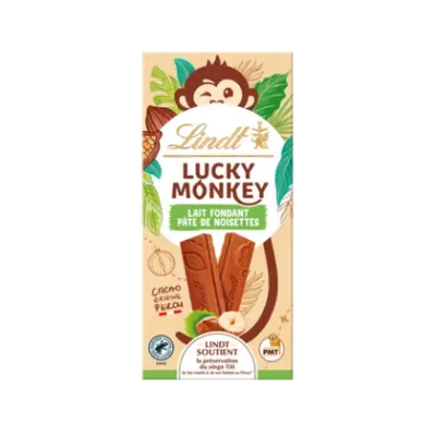 Imported Lindt Hazelnut Chocolate Bar 100g