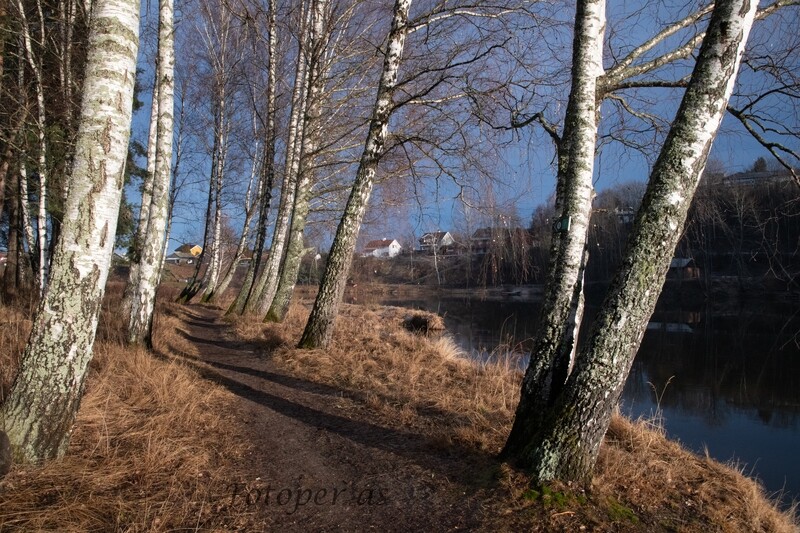 Petersøya