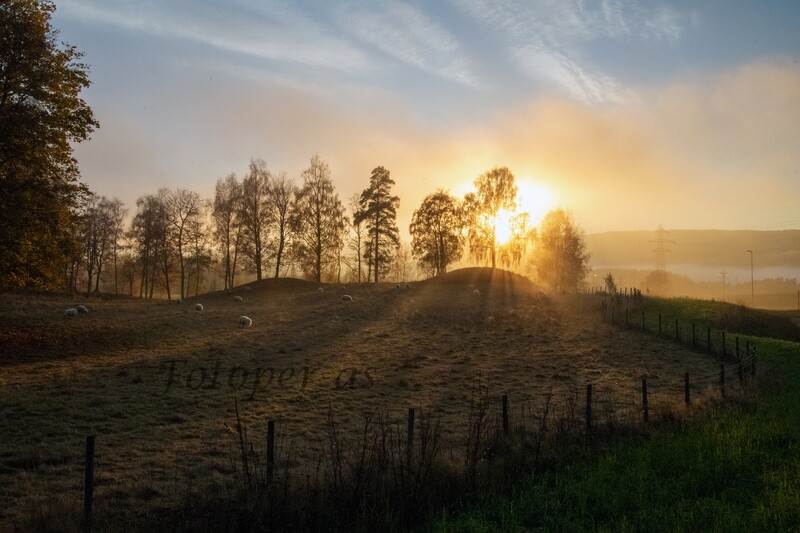 Veien, Heradsbygda, solnedgang