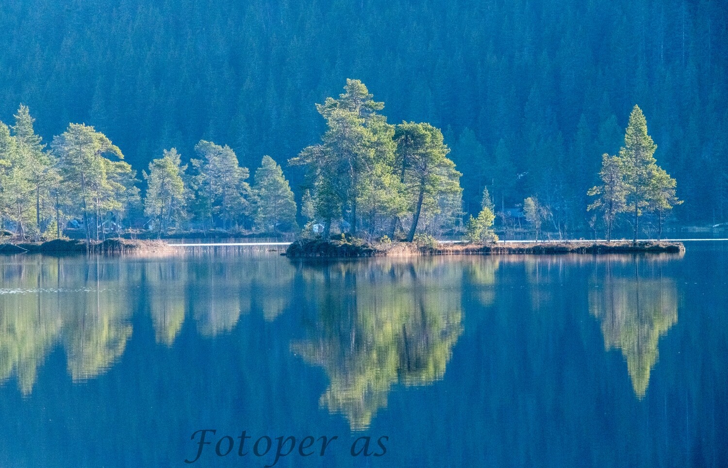 Øy i Øyangen på Ringkollen