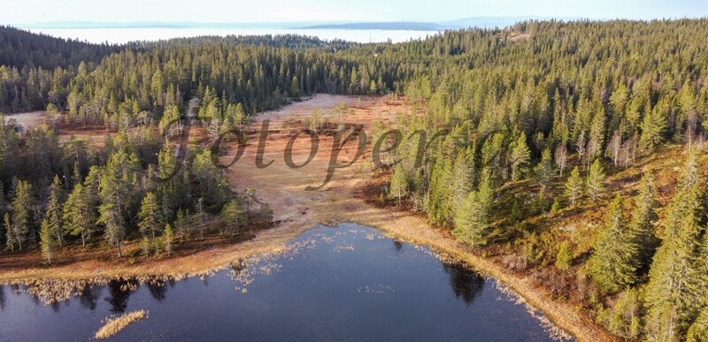 Kolltjern, Ringkollen. Dronebilde