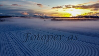 Vinter Røyse, Selte