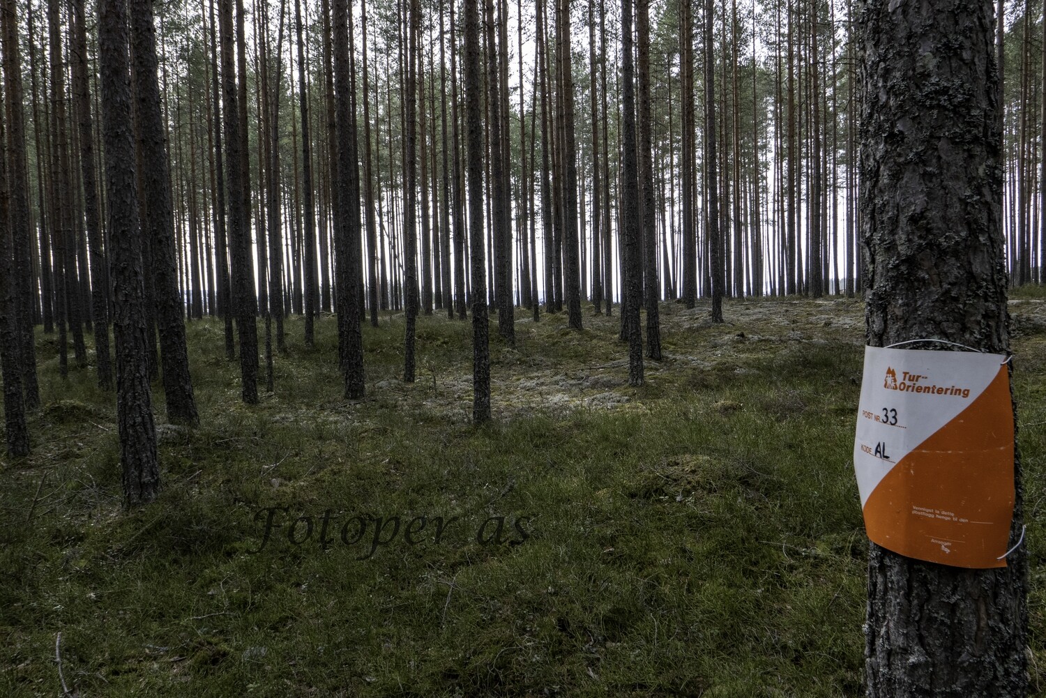 Kilemoen, plakat turorientering