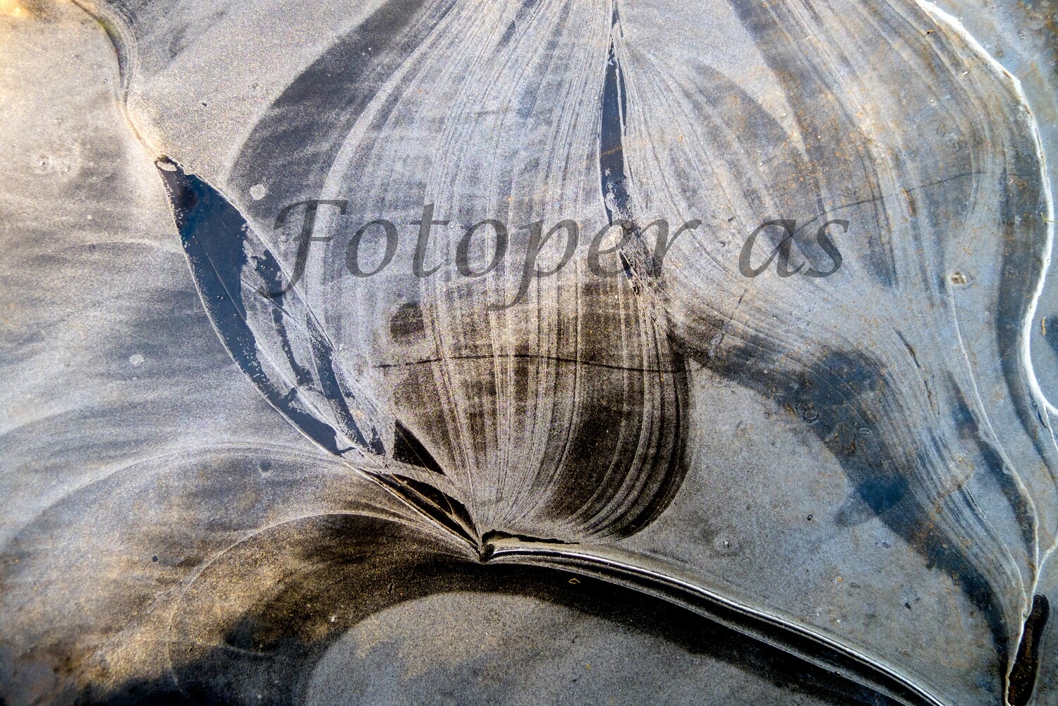 Isformasjon