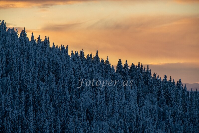 Solnedgang Krokkleiva