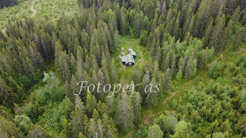 Hytte Krokskogen, sommer