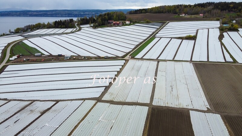 Elstøen, Røyse, åker