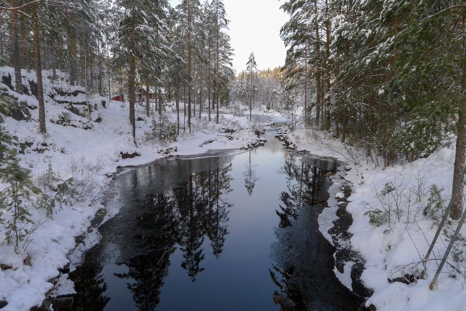 Holleia, vinter