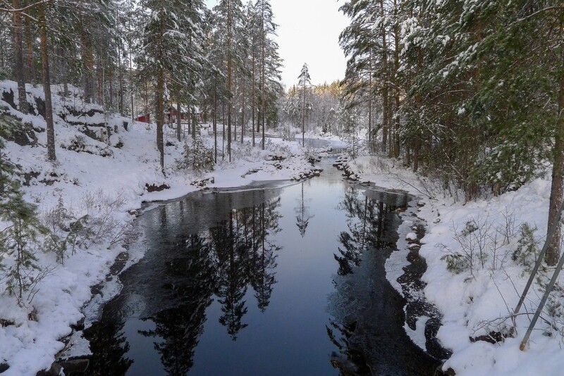 Holleia, vinter