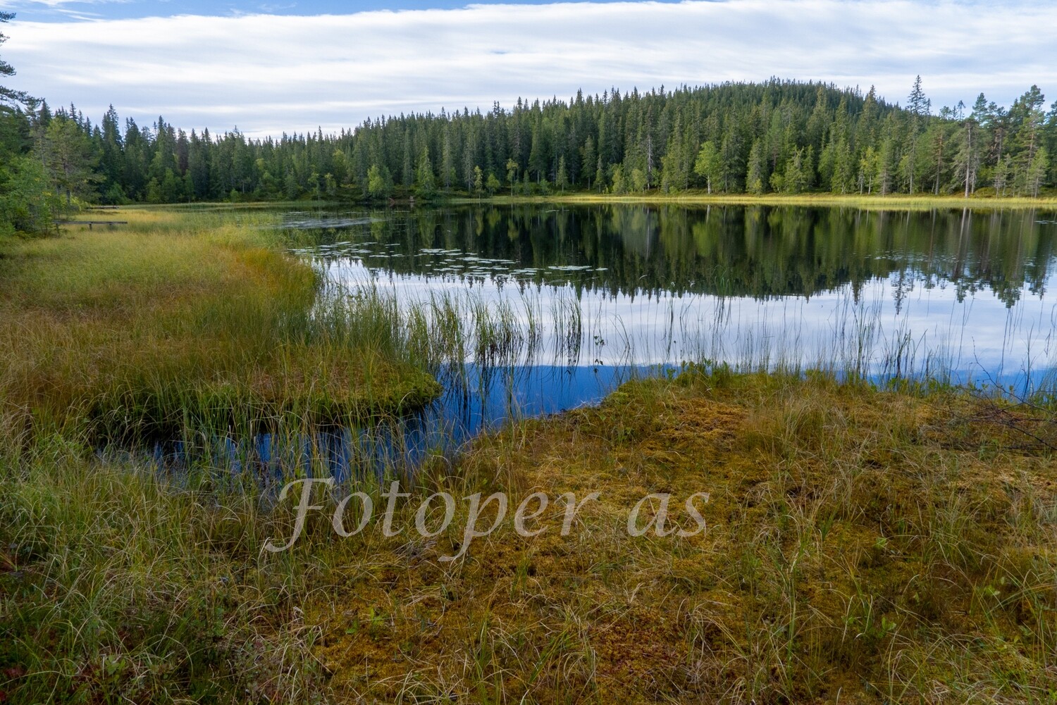 Kolltjern Ringkollen, høst