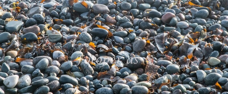 Mølen, rullesteiner på strand