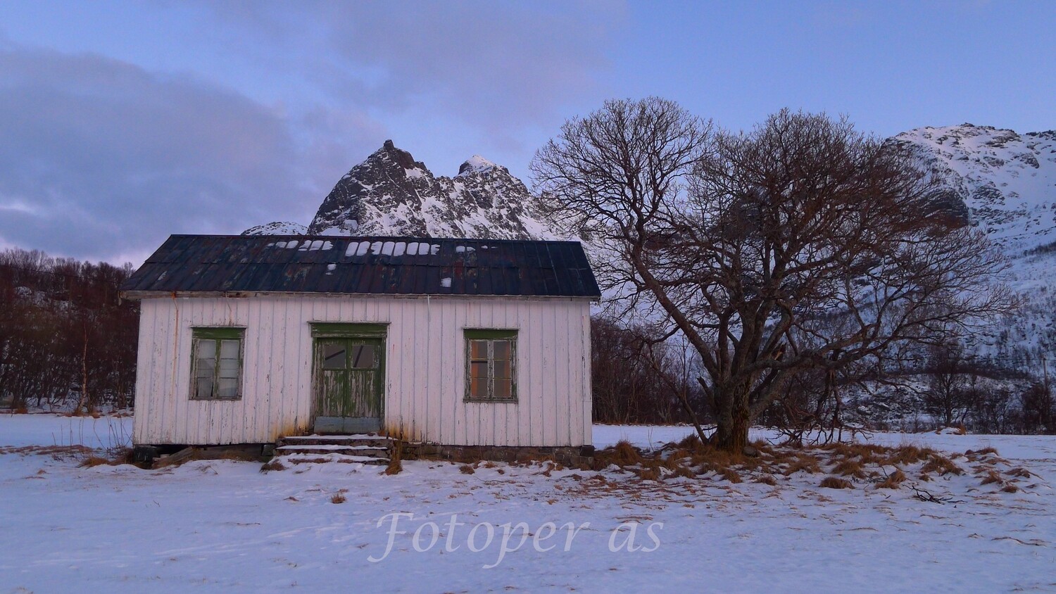 Lofoten, gammelt hus og tre