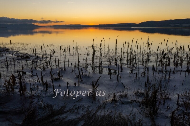 Røsholmstranda, solnedgang, strå, vinter