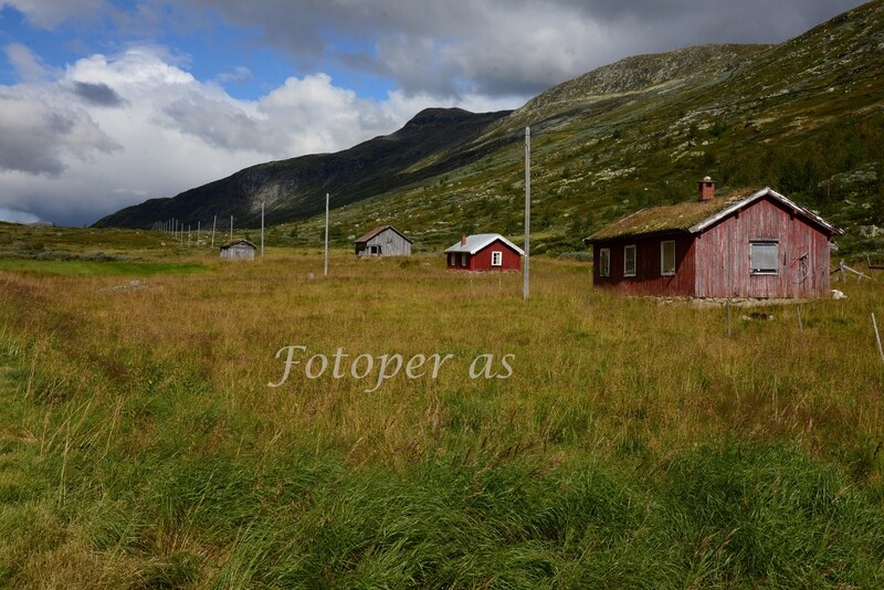 Hemsedal, hus