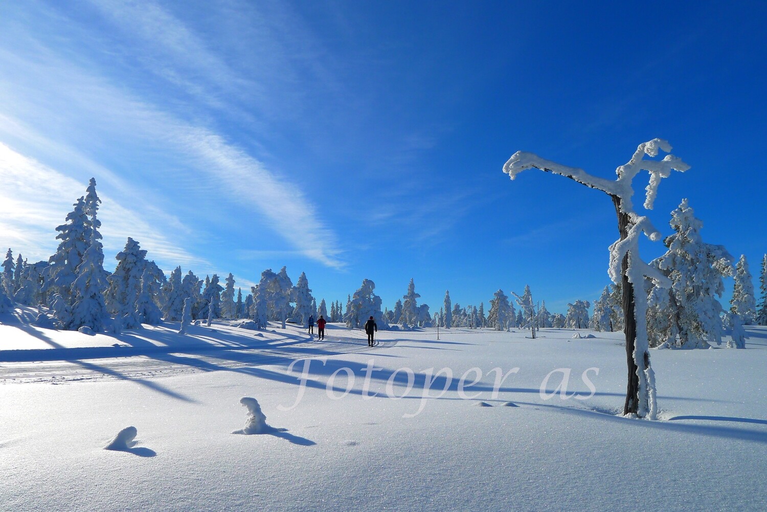 Vikerfjell, vinter, skiløyper