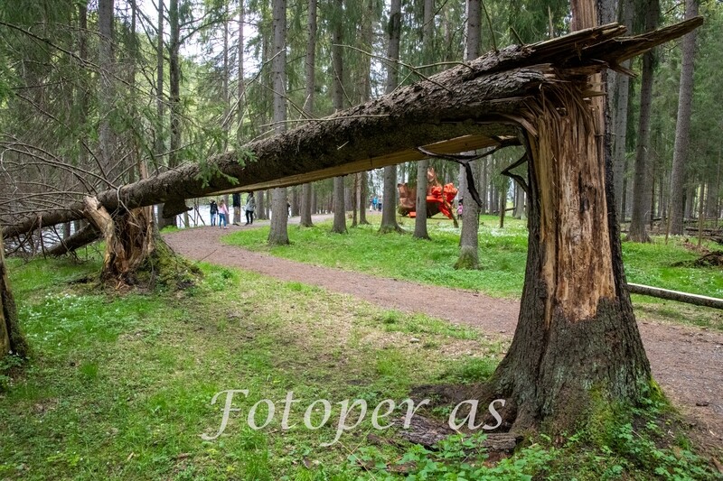 Kistefos. Veltet tre. Kunstverk