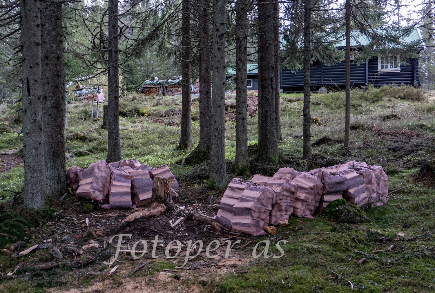 Vedsekker i skog