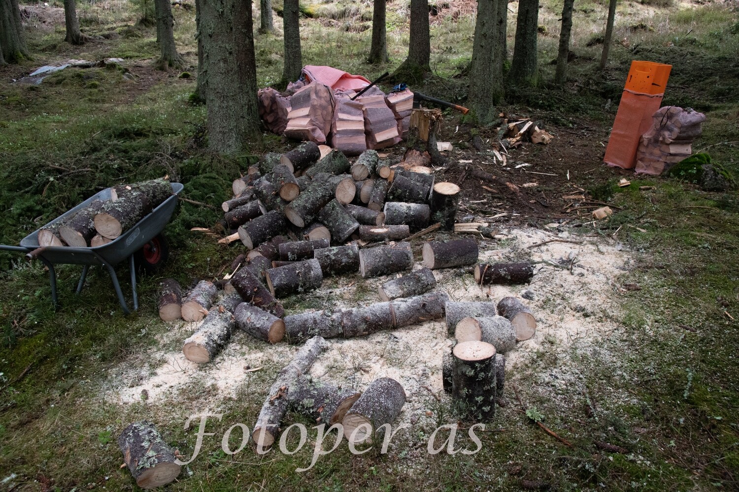 Vedhogst