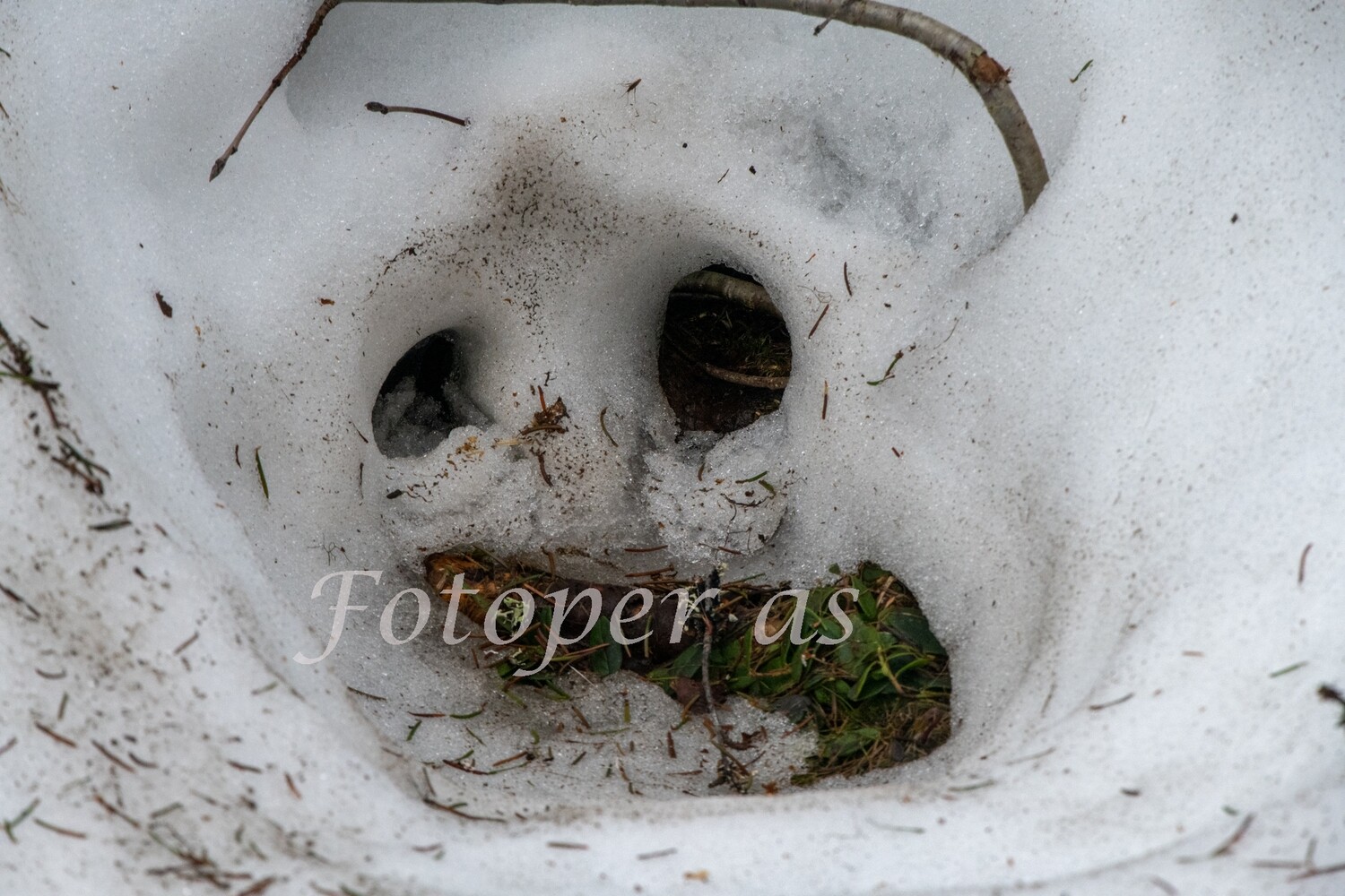 Spor i snø. Spøkelse