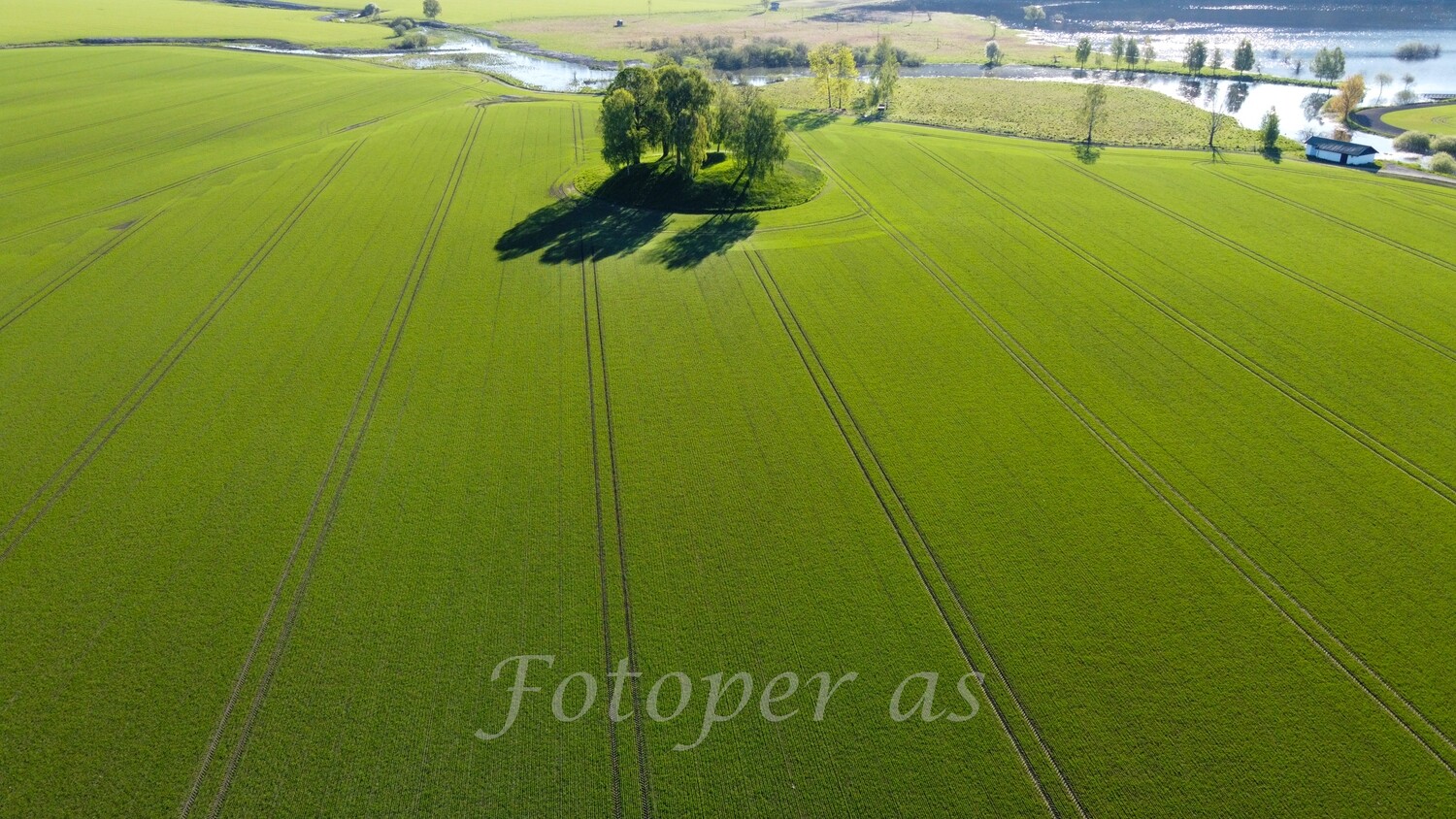 Halvdanshaugen, Steinsletta