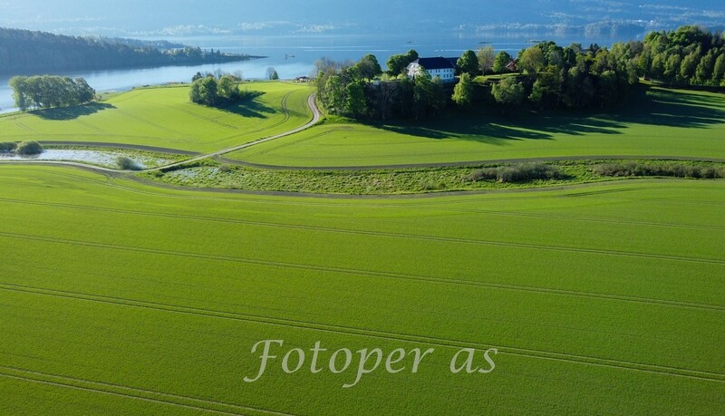 Stein gård, Steinsletta. Grønne åkre