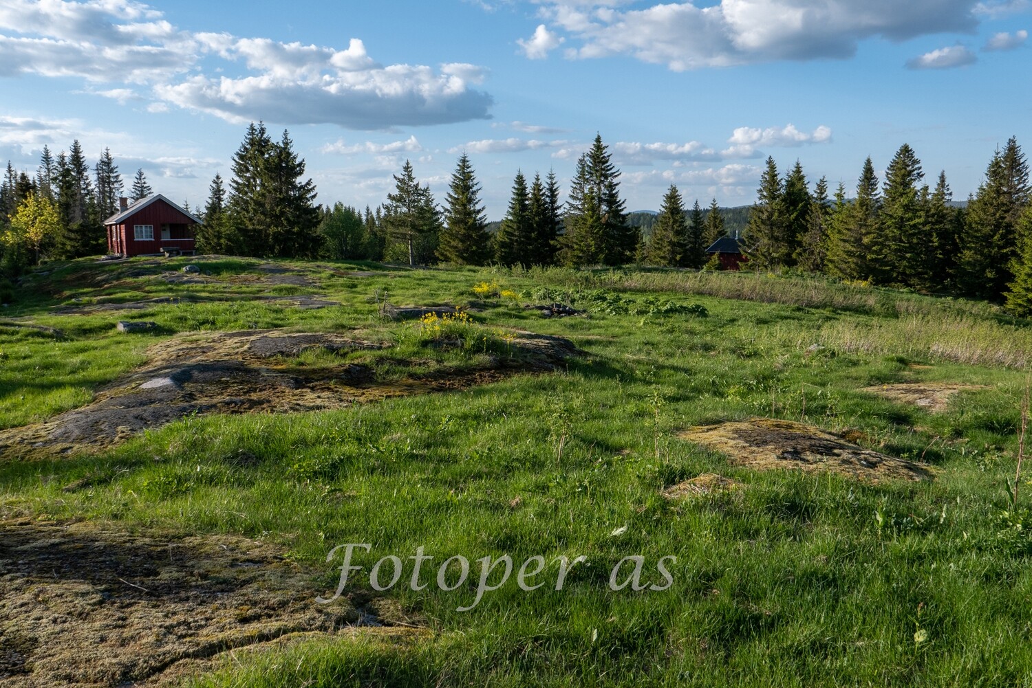 Nordsetervollen Krokskogen, sommer