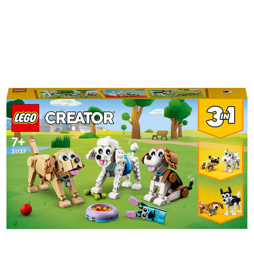 31137 Adorabili cagnolini