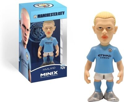 MINIX - HAALAND