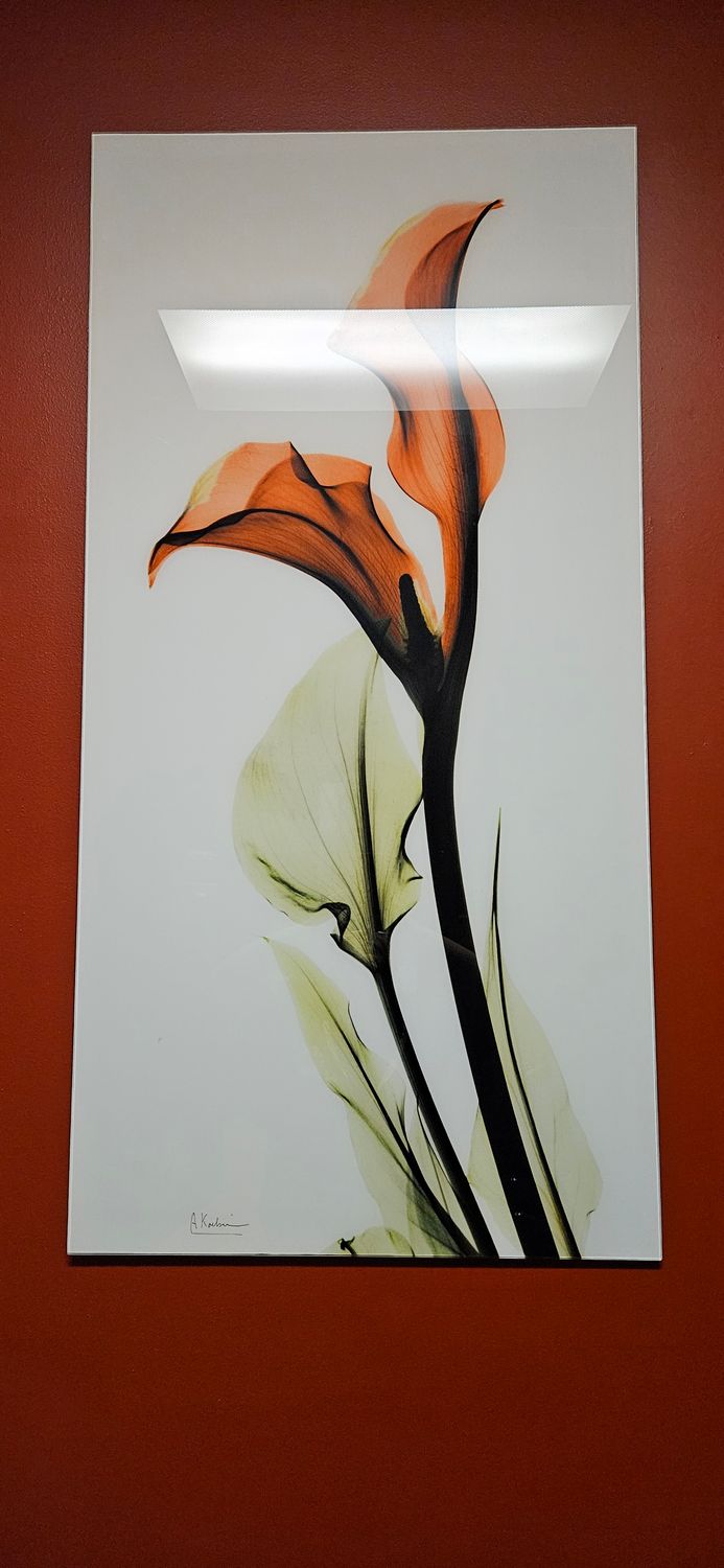 Calia Lily Wall Art Glass