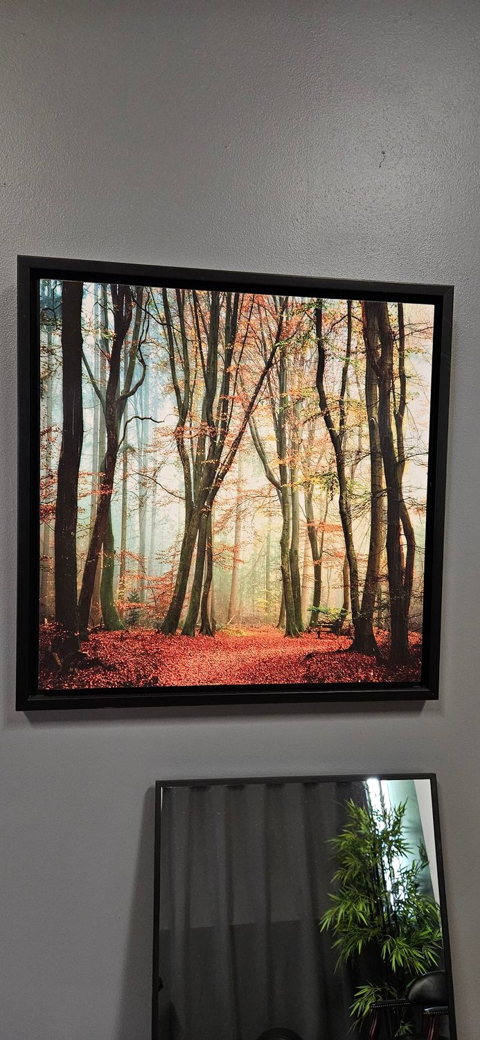 Forest Wall Art on Wooden Frame