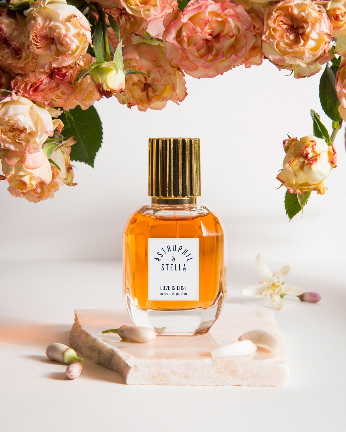 LOVE IS LOST - Astrophil &amp; Stella - Extrait 50ml