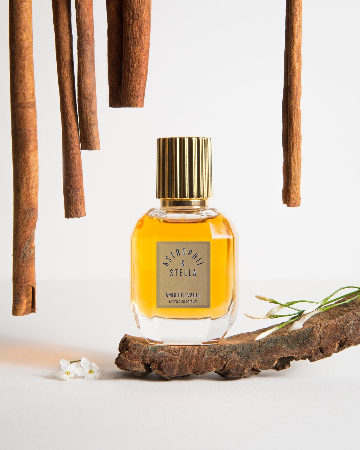 AMBERLIEVABLE - Astrophil &amp; Stella - Extrait 50ml