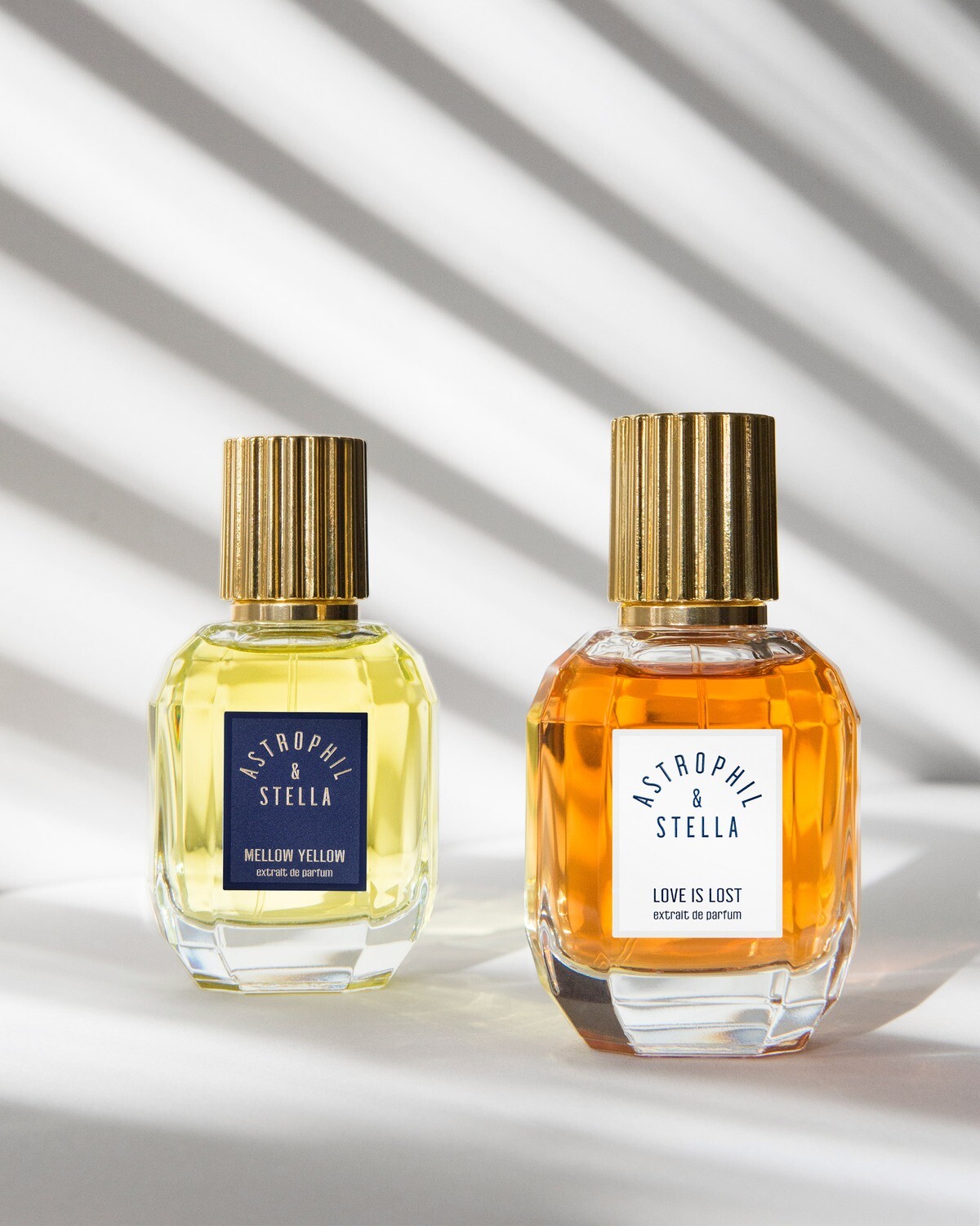MELLOW YELLOW - Astrophil &amp; Stella - Extrait 50ml