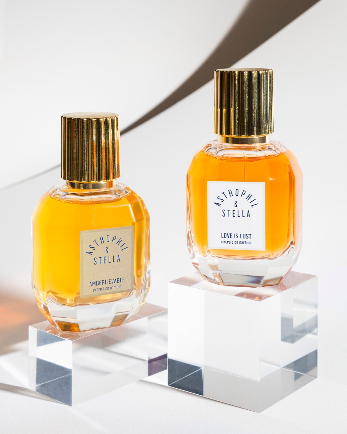 AMBERLIEVABLE - Astrophil &amp; Stella - Extrait 50ml