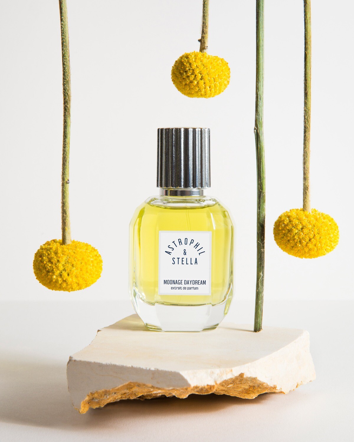 MOONAGE DAYDREAM - Astrophil &amp; Stella - Extrait 50ml