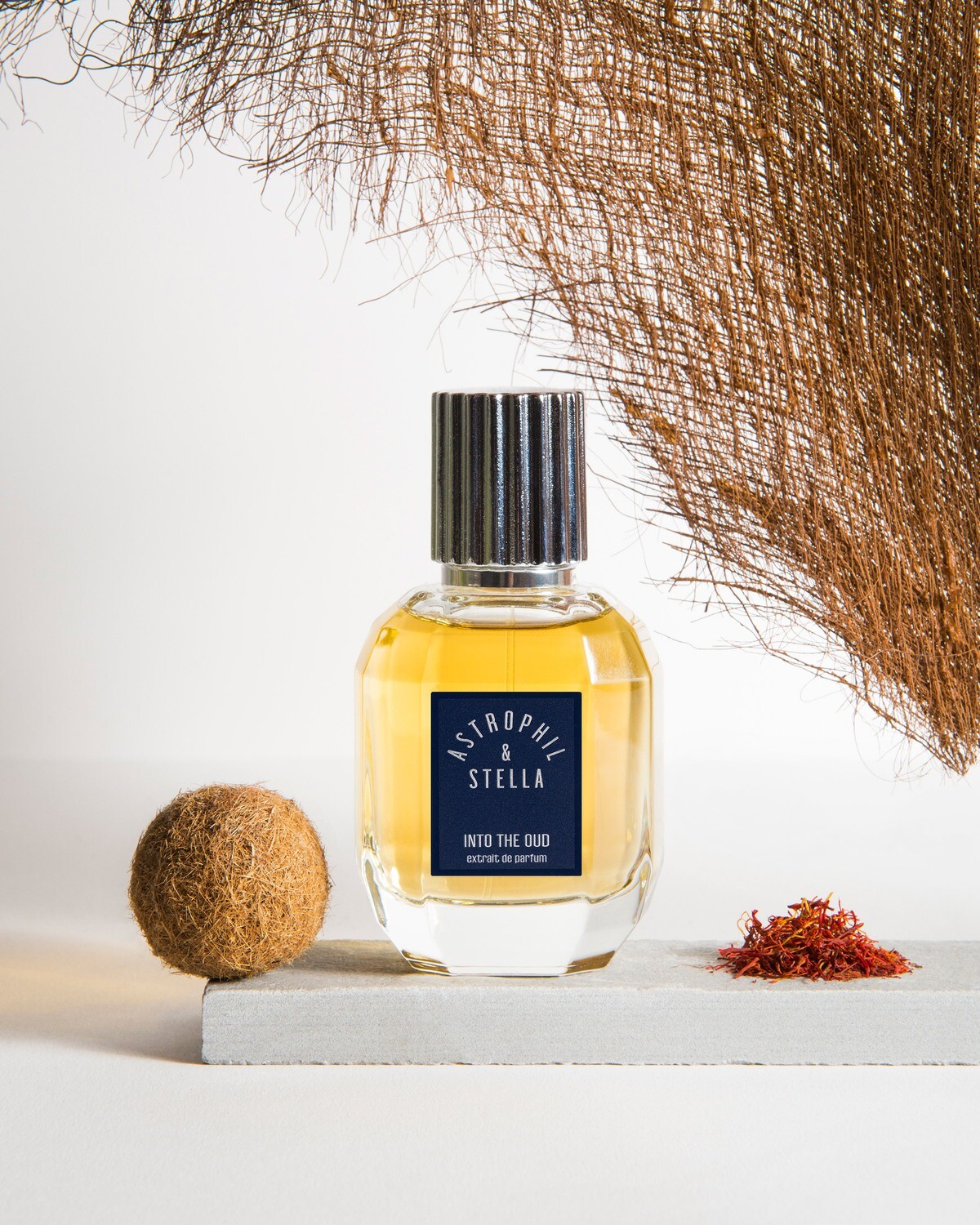INTO THE OUD - Astrophil &amp; Stella - Extrait 50ml